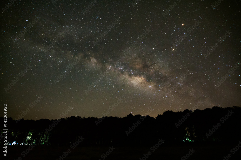 Milky Way and silhouette of tree at Phu Hin Rong Kla National Park,Phitsanulok Thailand, Long exposure photograph.with grain Milky Way and silhouette of tree at Phu Hin Rong Kla National Park,Phitsanulok Thailand, Long exposure photograph.with grain
