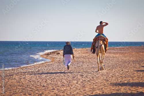 Wakacje w Egipcie. Przejażdżka wielbłądem po plaży