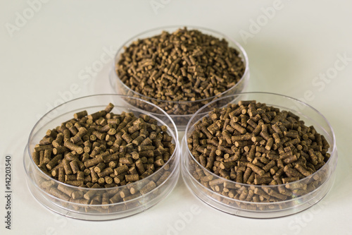 shrimp feed isolated background