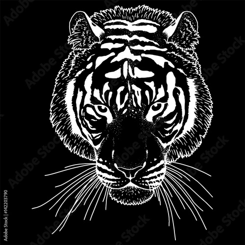 Fototapeta Naklejka Na Ścianę i Meble -  Tiger Head Illustration Vector
