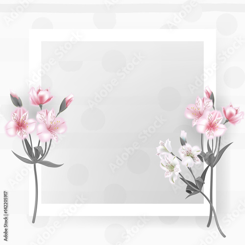 Greeting card with Alstroemeria can be used as invitation card for wedding, birthday and other holiday and summer background. Vector illustration.