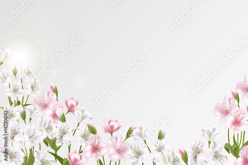 Greeting card with Alstroemeria can be used as invitation card for wedding, birthday and other holiday and summer background. Vector illustration.