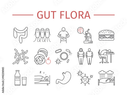 Gut flora. Line icons set.