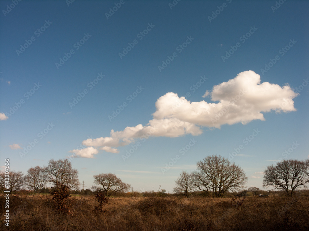 White Clouds in Blue skies Over Green Fields White Clouds in Blue skies Over Green Fields