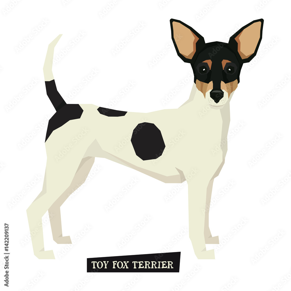 Dog collection Toy Fox Terrier Isolated vector