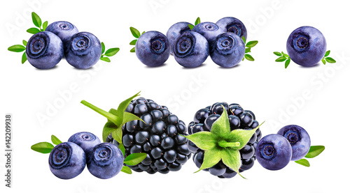 blackberry, bilberry, blueberries isolated on white
