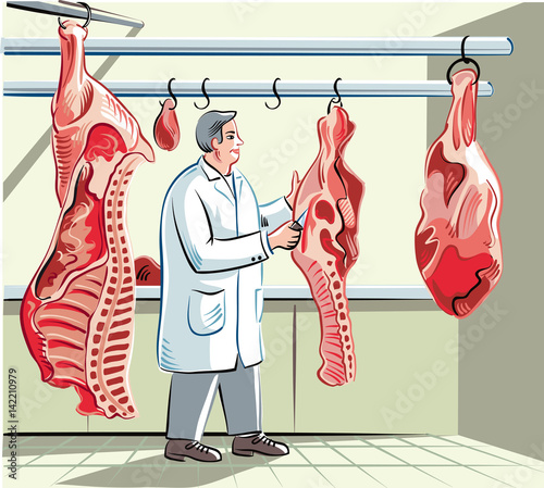 Butcher in a slaughterhouse, dissects, and prepare a side of beef in pieces of meat.