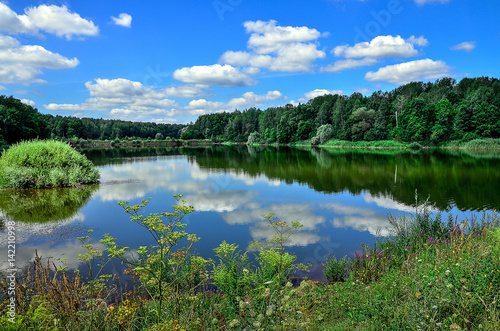 A beautiful summer landscape with a river, clouds and plants
