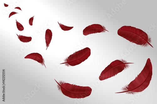 Feathers vector set in a 3d style. Icons feathers isolated on a light background. Collection of silhouettes of feathers. Simple icons feathers as elements for design.