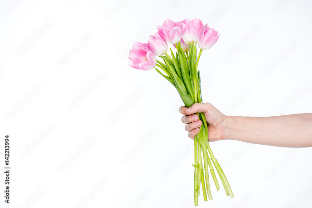 tulips bouquet in female hand tulips bouquet in female hand