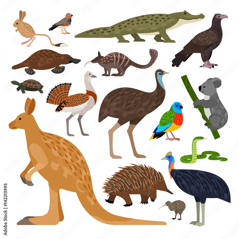 Obraz premium Cute set of Australian animals