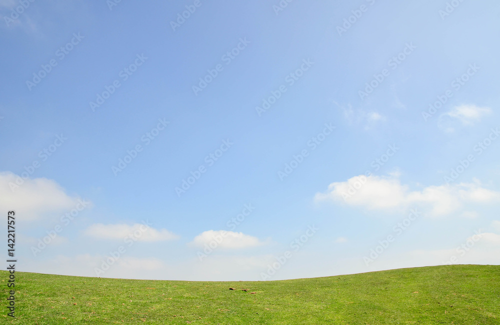 Fototapeta premium Simple landscape