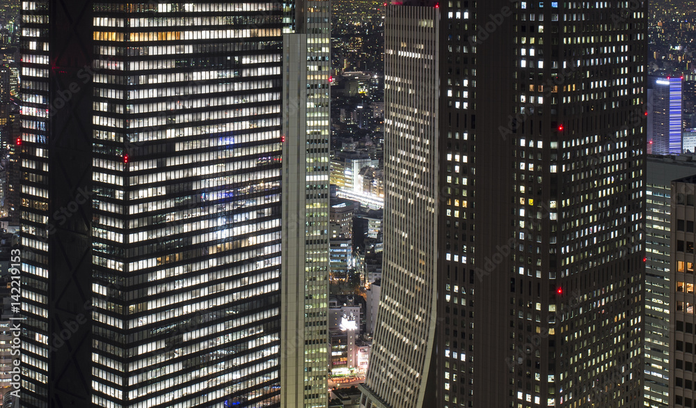 The View From The Tokyo Metropolitan Government Office at night
