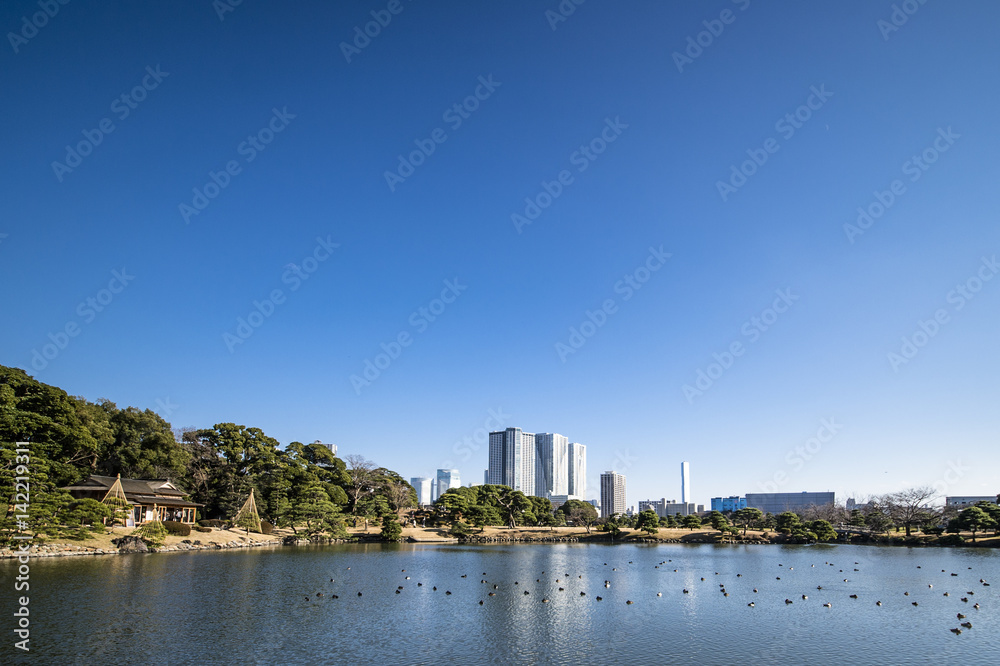 Fototapeta premium TOKYO - JAPAN Old and modern architecture. 30 December 2016 Photo taken at the Hamarikyu Gardens, a public park in Tokyo, Japan. Located at the mouth of the Sumida River, it was opened April 1, 1946.