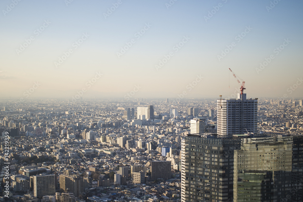 Obraz premium The View From The Tokyo Metropolitan Government Office