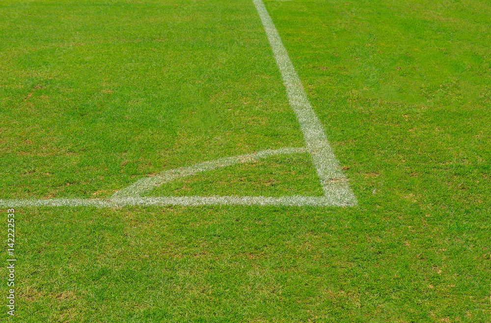 Fototapeta premium Football field