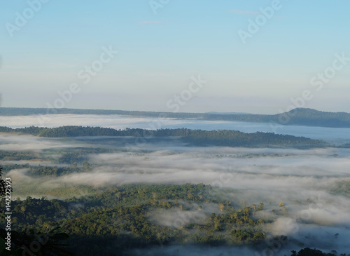 Morning mountain landscape with waves of fog. Waves of clouds in the mountain peaks covered with coniferous deciduous forests.