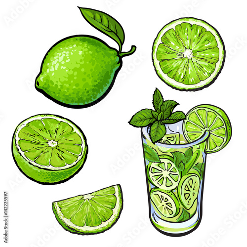 Set of whole, half, quarter lime and glass of lemonade with ice, sketch style vector illustration on white background. Hand drawn whole and cut lime and glass of lemonade with ice