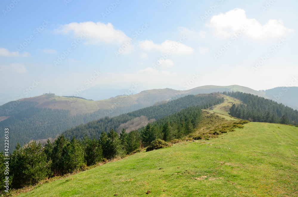Spring landscape, Basque Country