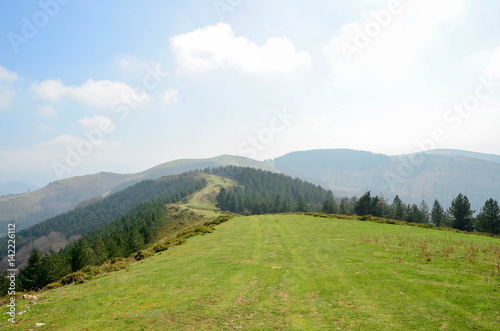 Fototapeta Naklejka Na Ścianę i Meble -  Spring landscape, Basque Country