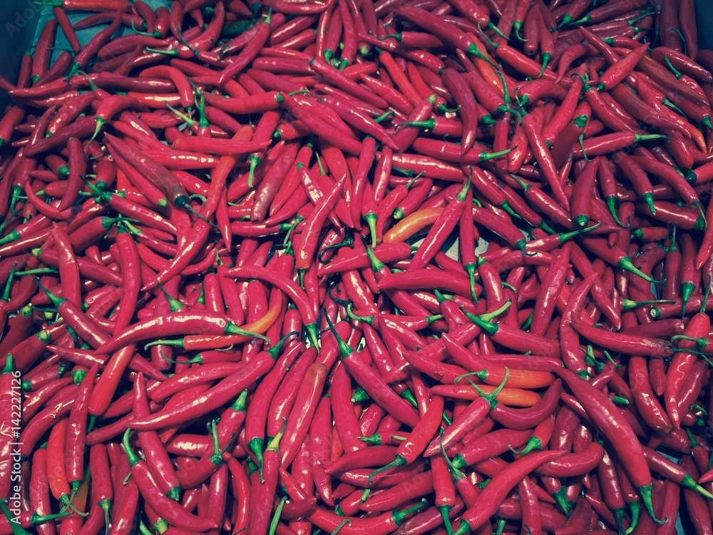 Fototapeta premium red chilis