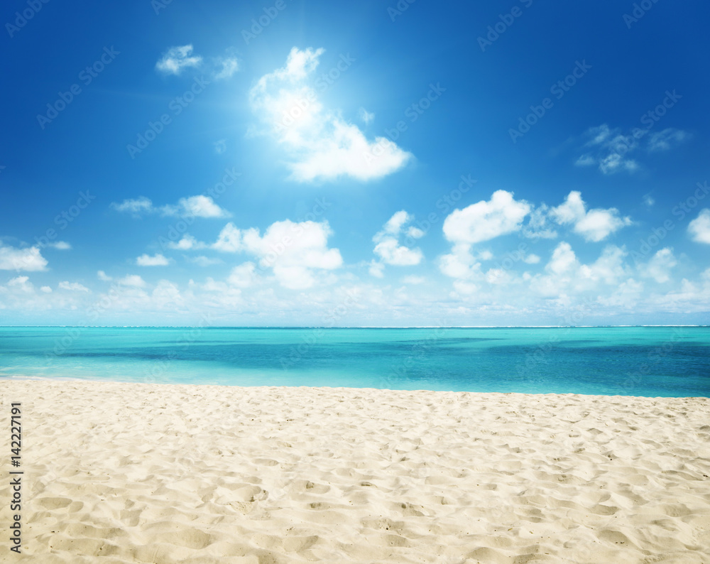 sunny tropical beach sunny tropical beach