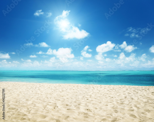 sunny tropical beach