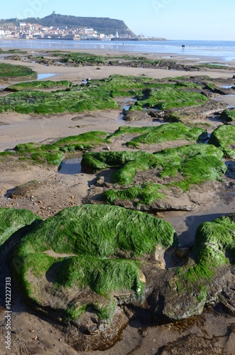 фотографія Scarborough outflow