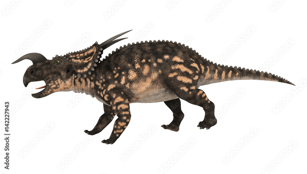 3D Rendering Dinosaur Einiosaurus on White 3D Rendering Dinosaur Einiosaurus on White