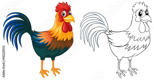 Doodle animal for rooster