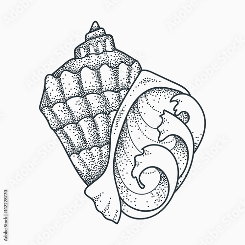 Seashell with ocean waves vector illustration. Blackwork dotwork tattoo design.