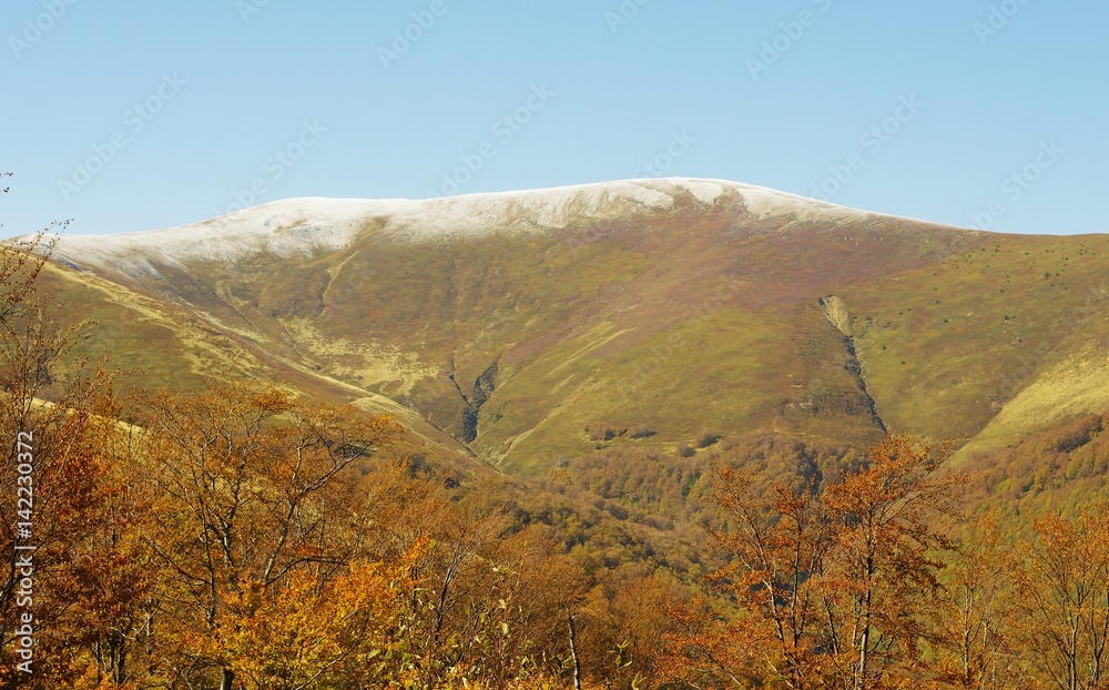 Beautiful view of Carpathian Mountains, East Europe, Ukraine