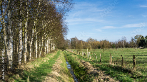 A pasture with fence and trees at sunshine