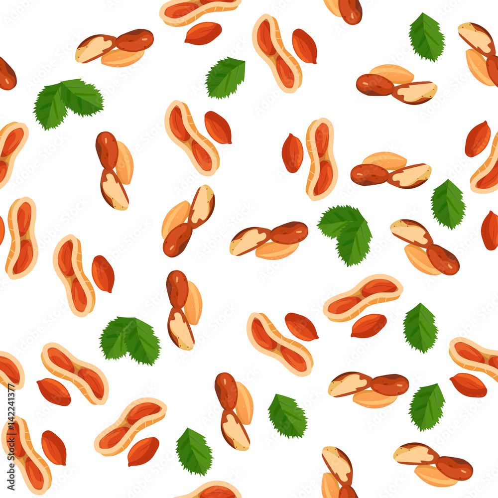 illustration of nuts illustration of nuts