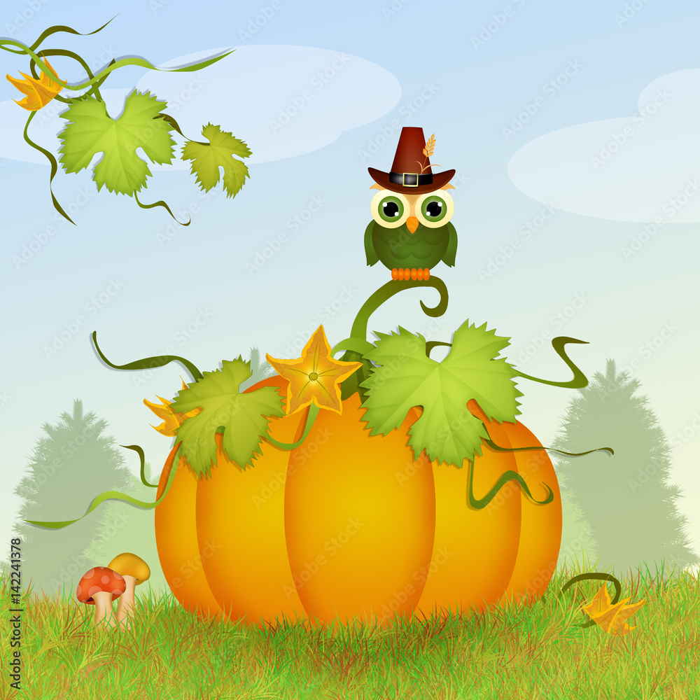 Naklejka premium owl on pumpkin