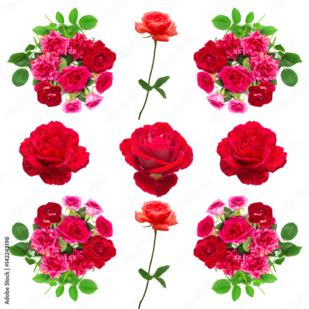 Collection roses flowers Collection roses flowers