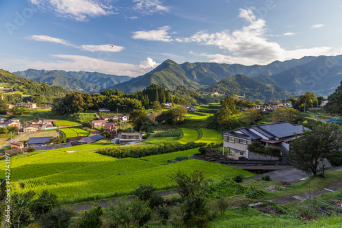 Obraz na płótnie Agriculture village in Takachiho, Miyazaki, Kyushu. w salonie