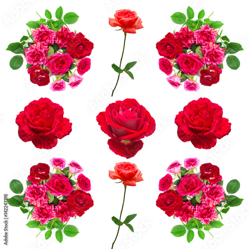 Collection roses flowers