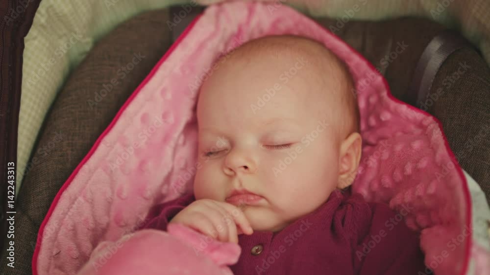 Peaceful Baby Sleeping in a Car Seat on pink blanket holding pink pig Peaceful Baby Sleeping in a Car Seat on pink blanket holding pink pig