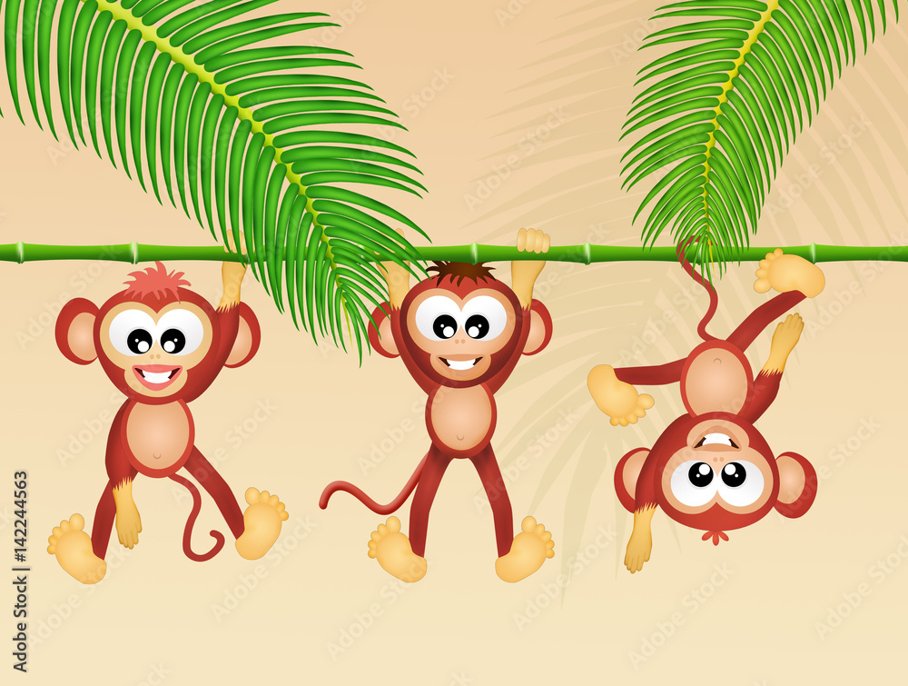 Naklejka premium monkeys in the forest