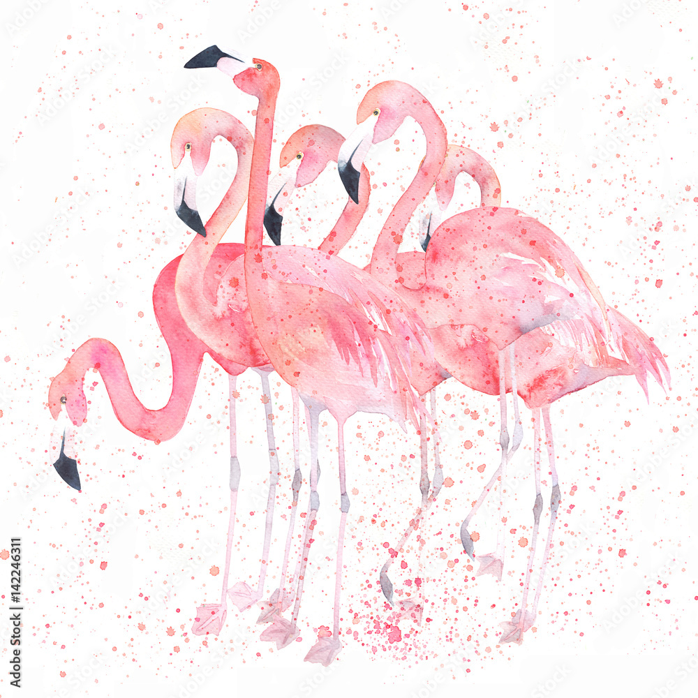 Fototapeta premium Akwarela flamingi z pluskiem. Obraz malarski
