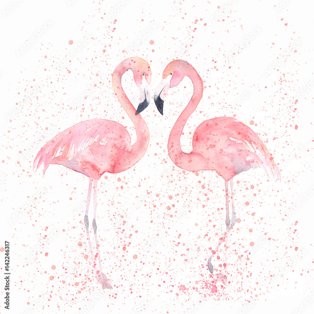 Fototapeta premium Akwarela flamingi z odrobiną. Malowanie obrazu