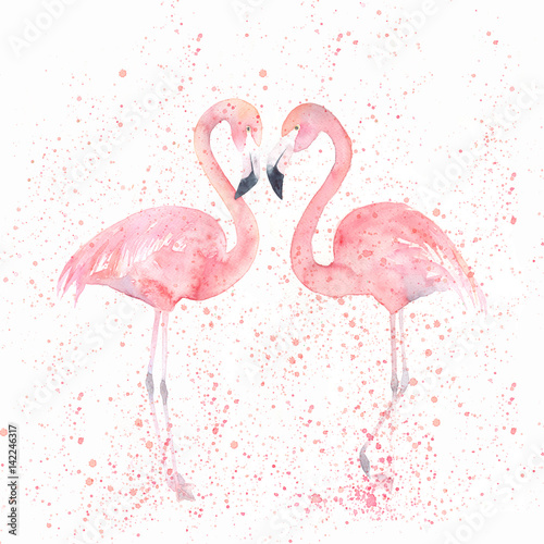 Obraz na płótnie Akwarela flamingi z splash. Malowanie obrazu