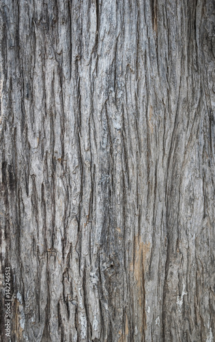 Wood texture for background copy space.