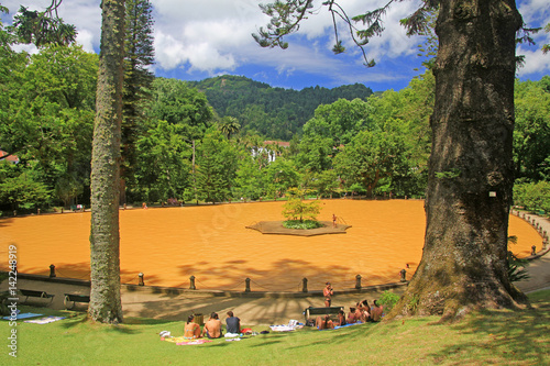 Tableau sur toile acores sao miguel terra nostra, portugal