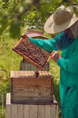 Naklejka bee