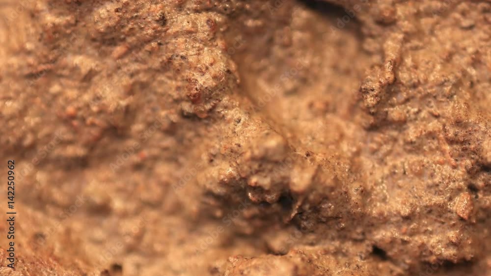 Land Becomming Dry Close up Time Lapse Land Becomming Dry Close up Time Lapse