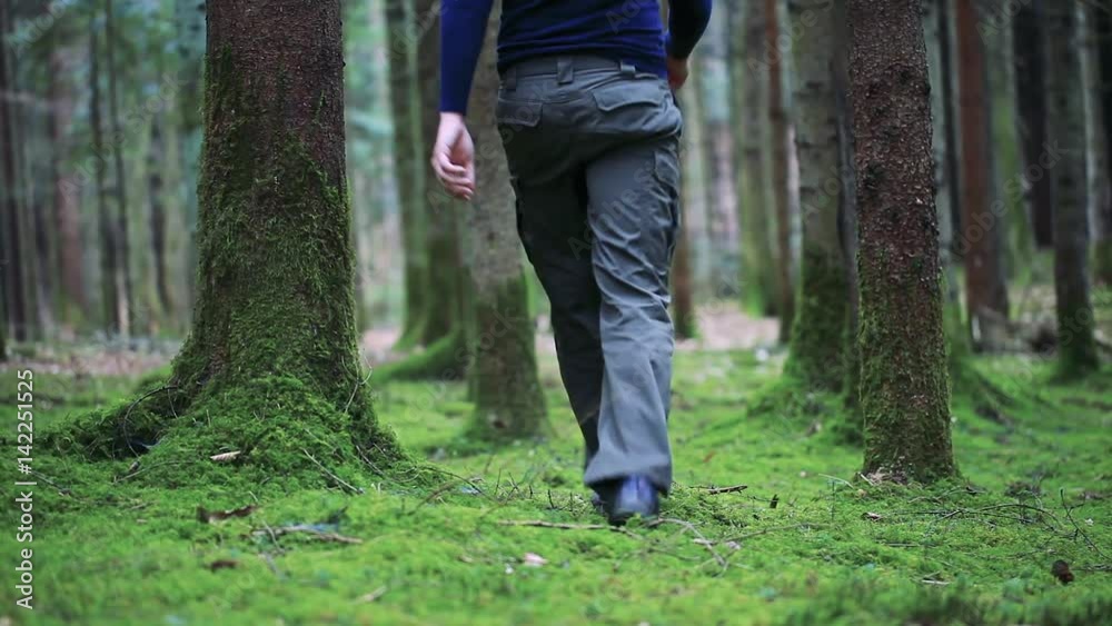 Person walking in the mossy forest trees and inspect wild landscape. Selective focus used. Person walking in the mossy forest trees and inspect wild landscape. Selective focus used.