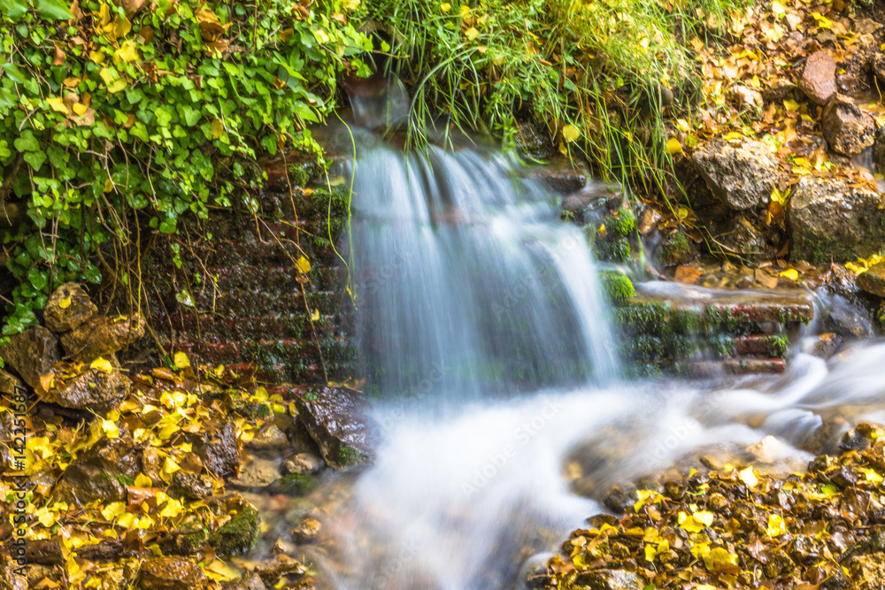 Cascada de agua entre plantas, rocas y hojas