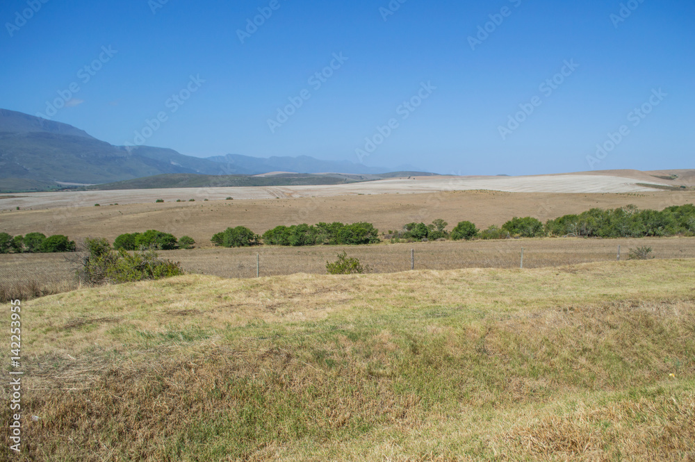 South African Landscape with Mountains and Fields